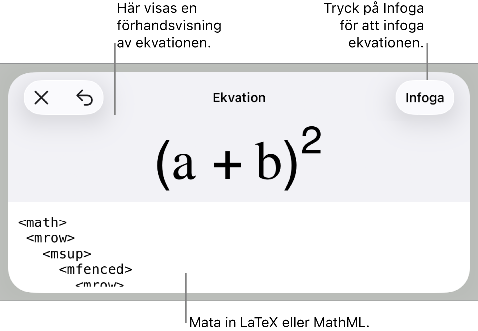 Dialogrutan Ekvation visar en ekvation som skrivits med MathML-kommandon och en förhandsvisning av formeln ovanför den.