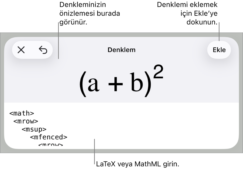MathML komutları kullanılarak yazılmış bir denklemi ve onun üstünde formülün önizlemesini gösteren Denklem sorgu kutusu.