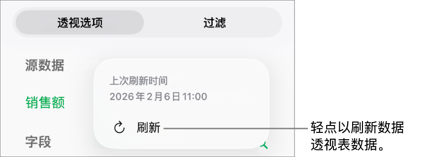 “透视选项”菜单显示刷新数据透视表的选项。