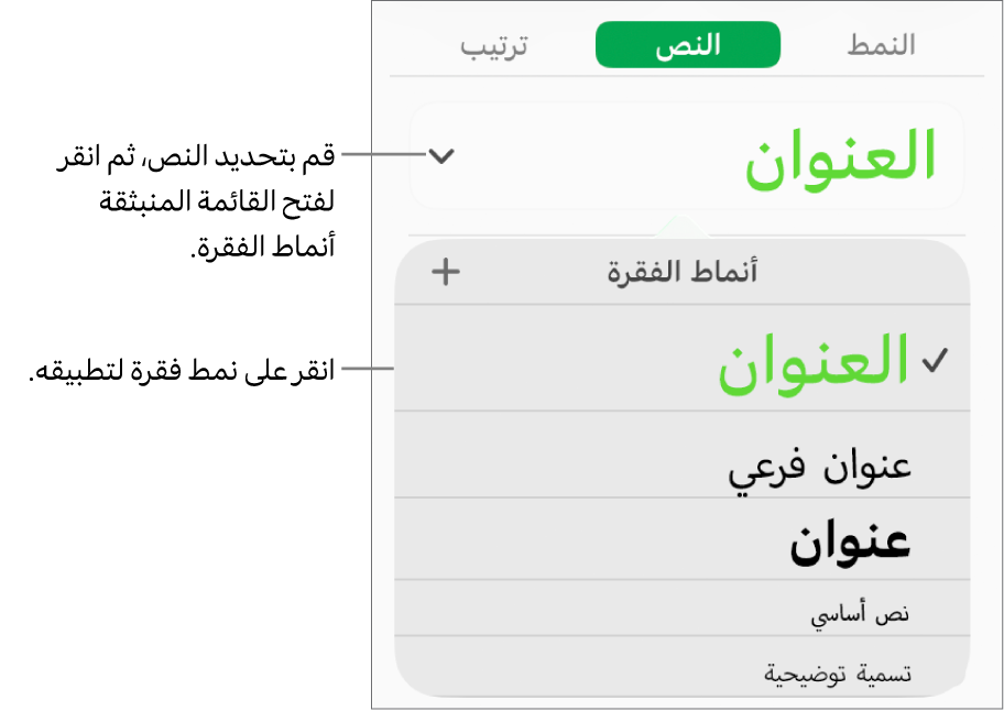 قائمة أنماط الفقرة.