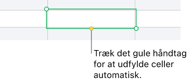 En valgt celle med et gult håndtag, som du kan trække for at udfylde celler automatisk.