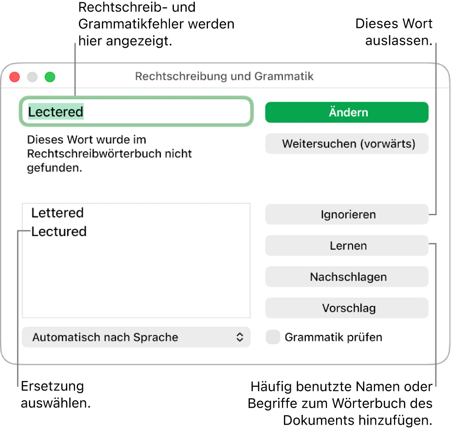 Das Fenster „Rechtschreibung und Grammatik“