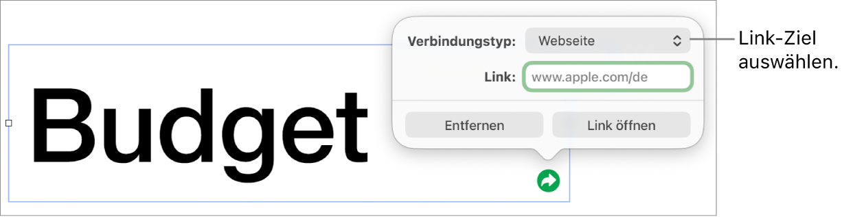Die Steuerelemente des Linkeditors mit ausgewählter Webseite und den Tasten „Entfernen“ und „Link öffnen“ unten.