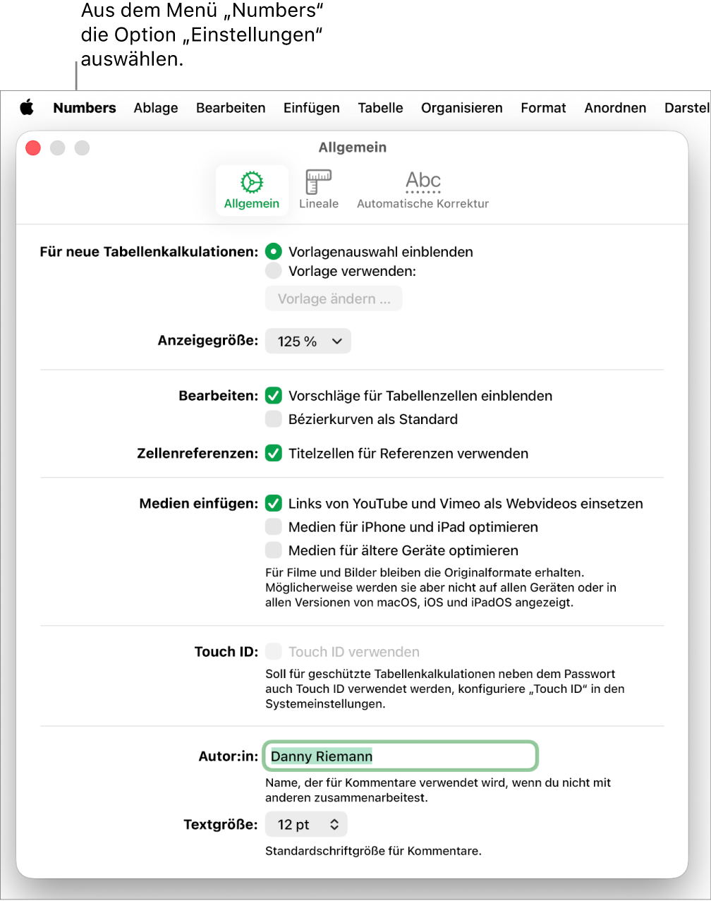 Der Bereich „Allgemein“ des Numbers-Einstellungsfensters mit den Einstellungen „Für neue Tabellenkalkulationen“, „Anzeigegröße“, „Bearbeiten“, „Zellenreferenzen“, „Gleichungen“, „Medien einfügen“, „Touch ID“, „Autor“ und „Textgröße“.
