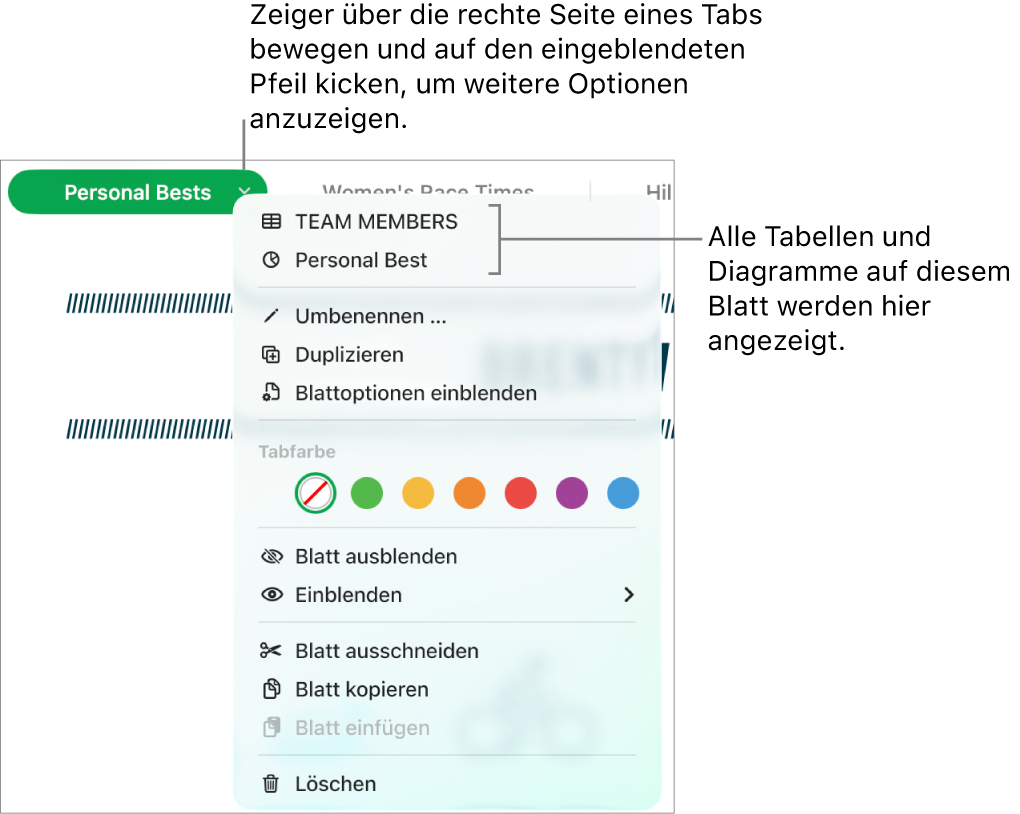 Die Tableiste zum Bearbeiten und Ausblenden von Blättern.