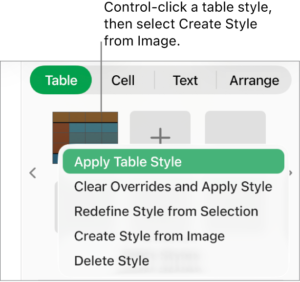 The table style shortcut menu.