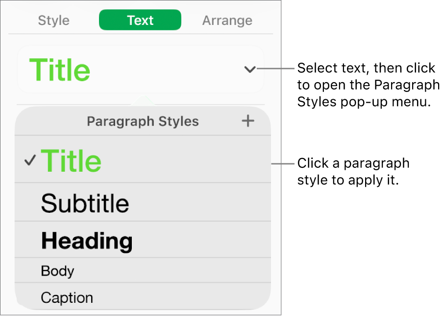 The Paragraph Styles menu.