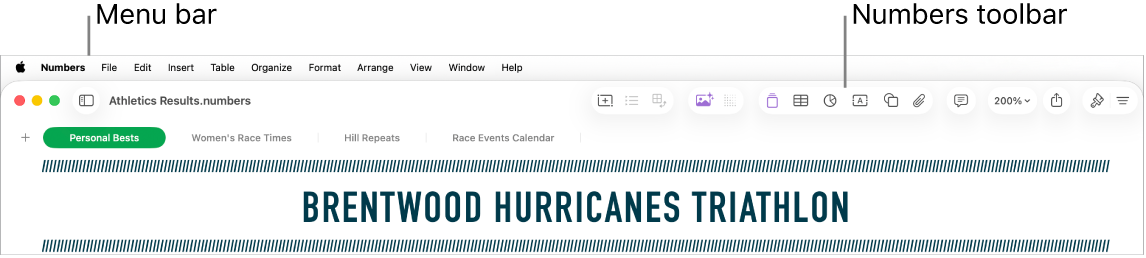 The menu bar at the top of the screen with Apple, Numbers, File, Edit, Insert, Table, Organize, Format, Arrange, View, Window, and Help menus. Below the menu bar is an open Numbers spreadsheet with toolbar buttons.