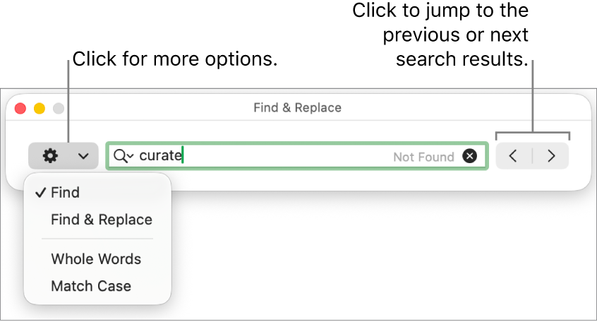 The Find & Replace window with the pop-up menu showing options for Find, Find & Replace, Whole Words, and Match Case. The arrows on the right let you jump to the previous or next search results.