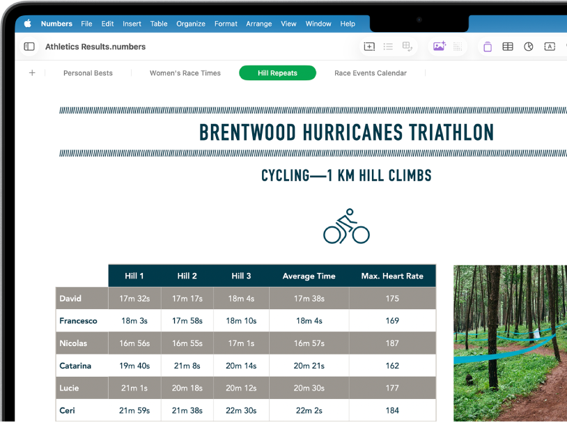 A spreadsheet tracking hiking information, showing sheet names near the top of the screen. The Add Sheet button is on the left, followed by sheet tabs for Hiking Schedule, Elevation, Trail Segments, Gear, and Food. The Elevation sheet is selected.