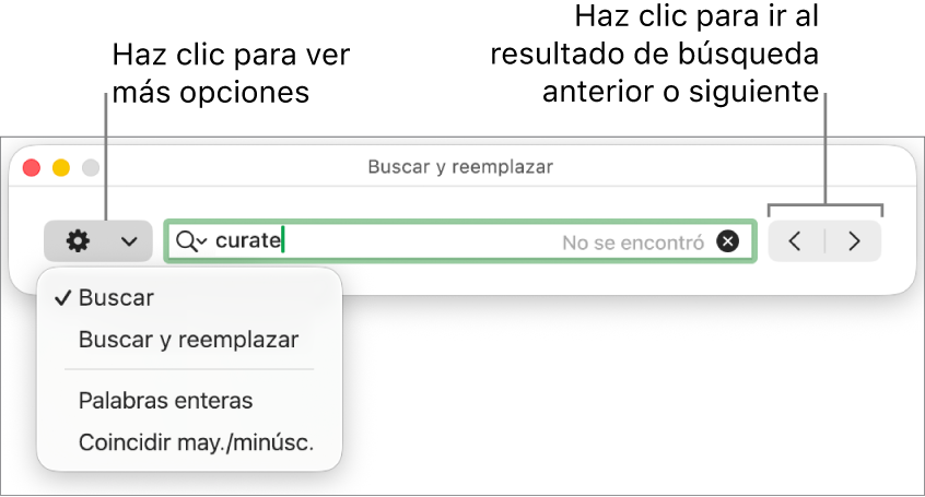 La ventana Buscar y reemplazar con un mensaje en el menú desplegable mostrando las opciones Buscar, Buscar y reemplazar, Reemplazar, Palabras enteras y Coincidir may./min. Las flechas ubicadas a la derecha permiten ir al resultado anterior o al siguiente.
