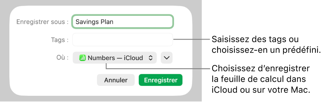 Zone de dialogue Enregistrer sous.