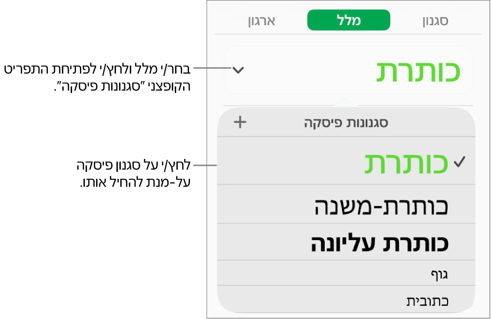 התפריט ״סגנונות פיסקה״.