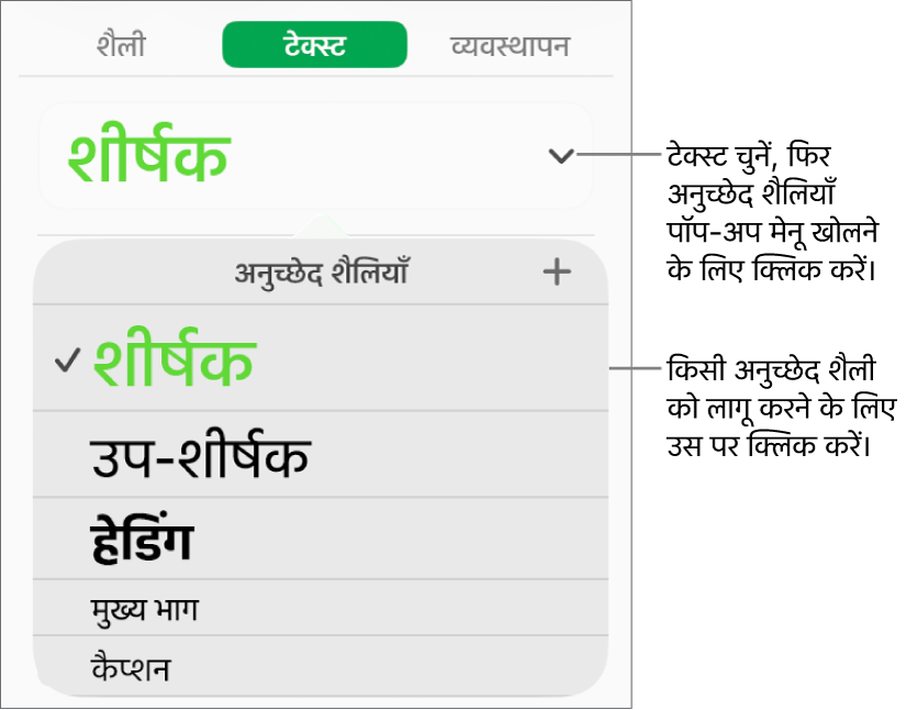 अनुच्छेद शैलियाँ मेनू।