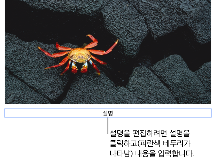 사진 아래에 ‘설명’이라고 나타나는 위치 지정자 설명. 설명 필드 주위의 파란색 윤곽선은 선택되었음을 나타냄.