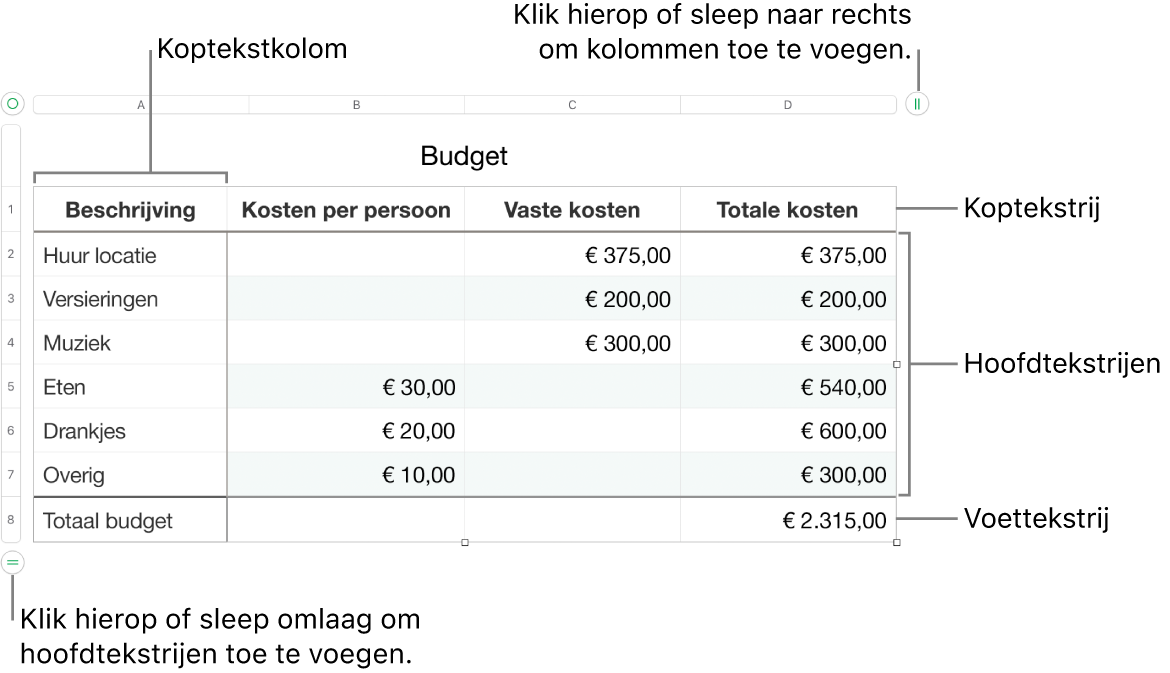 Een tabel met koptekst-, hoofdtekst- en voettekstrijen en -kolommen en selectiegrepen voor het toevoegen of verwijderen van rijen en kolommen.