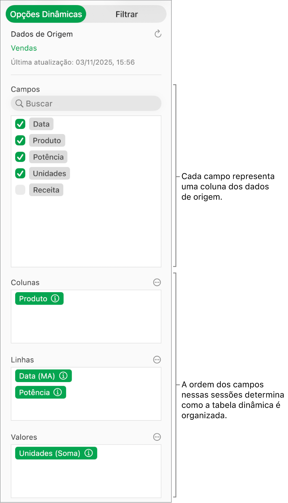 A aba Opções Dinâmicas na barra lateral Organizar, mostrando campos das seções Colunas, Linhas e Valores, bem como controles para editar os campos e atualizar a tabela dinâmica.