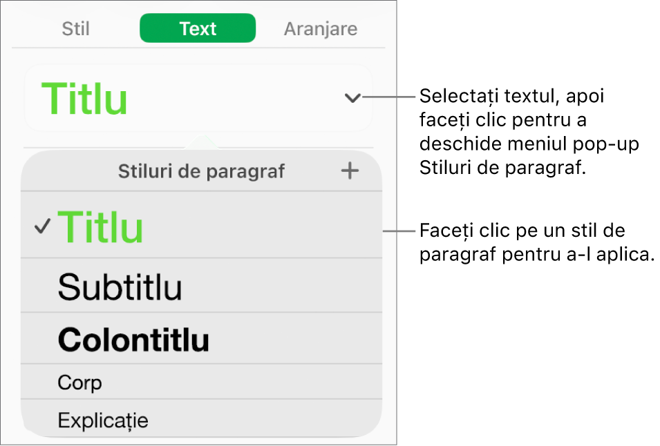 Meniul Stiluri de paragraf.