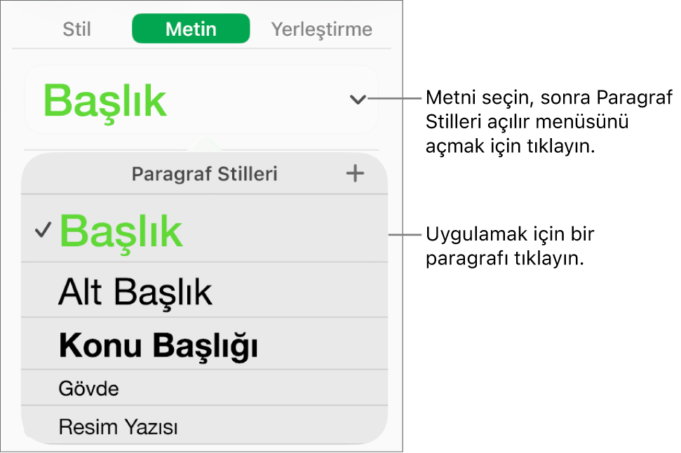 Paragraf Stilleri menüsü.