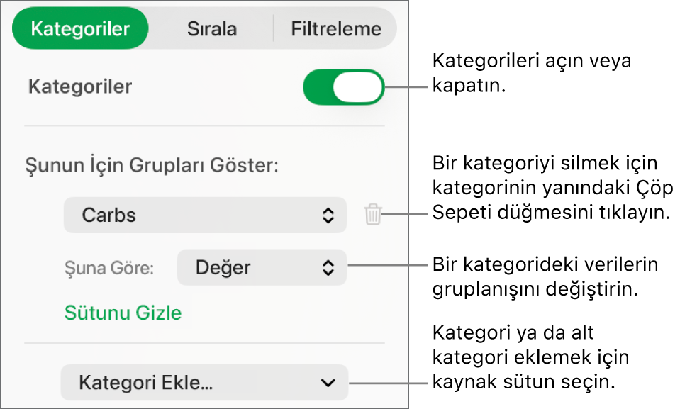 Kategorileri kapatma, kategorileri silme, verileri yeniden gruplama, kaynak sütunu gizleme ve kategori ekleme seçeneklerini içeren kategoriler kenar çubuğu.