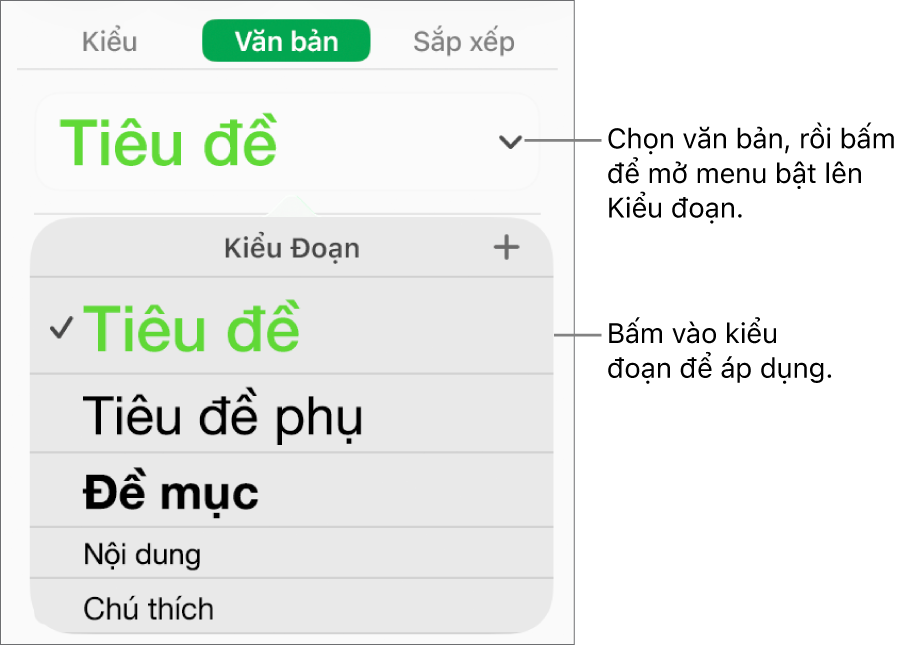 Menu Kiểu đoạn.