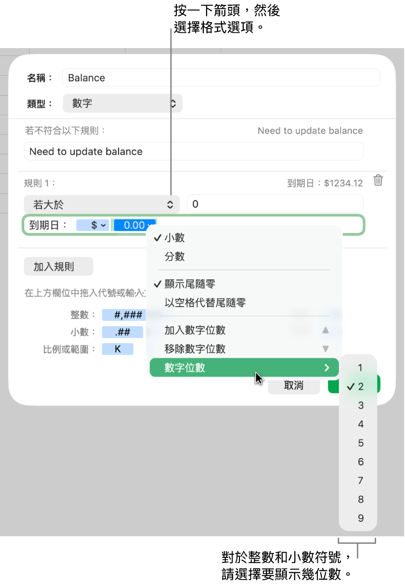帶有選擇自訂格式選項的自訂輸入格格式視窗。