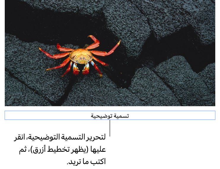 تظهر التسمية التوضيحية للعنصر النائب، "التسمية التوضيحية"، أسفل صورة؛ يوضح تخطيط أزرق حول حقل التسمية التوضيحية أنه محدد.