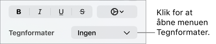 Lokalmenuen Tegnformater under betjeningsmulighederne til ændring af tekstens format og farve.