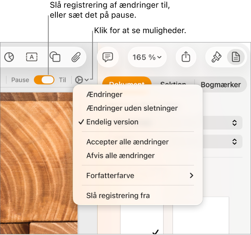 Registreringsmenuen med Slå registrering fra nederst og billedforklaringer til Registrer ændringer slået til og knappen Pause.