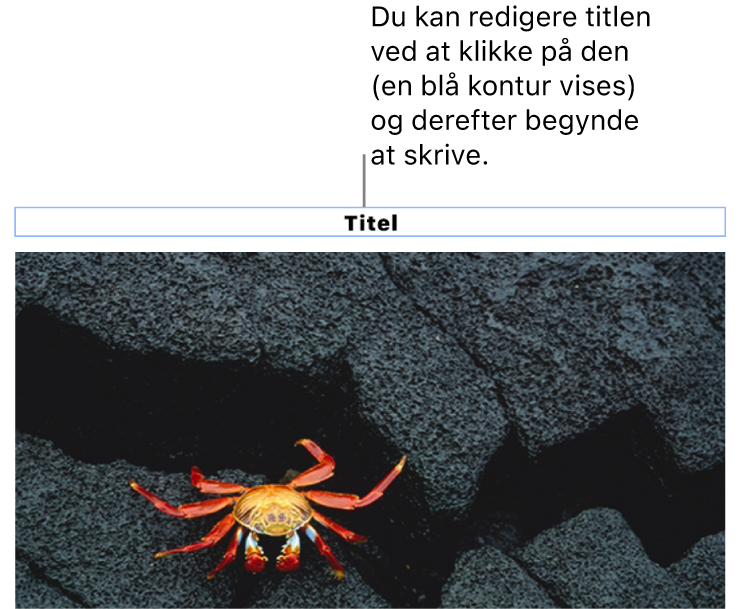Eksempeltitlen “Titel” vises under et foto, og en blå kontur rundt om feltet med titlen viser, at det er valgt.