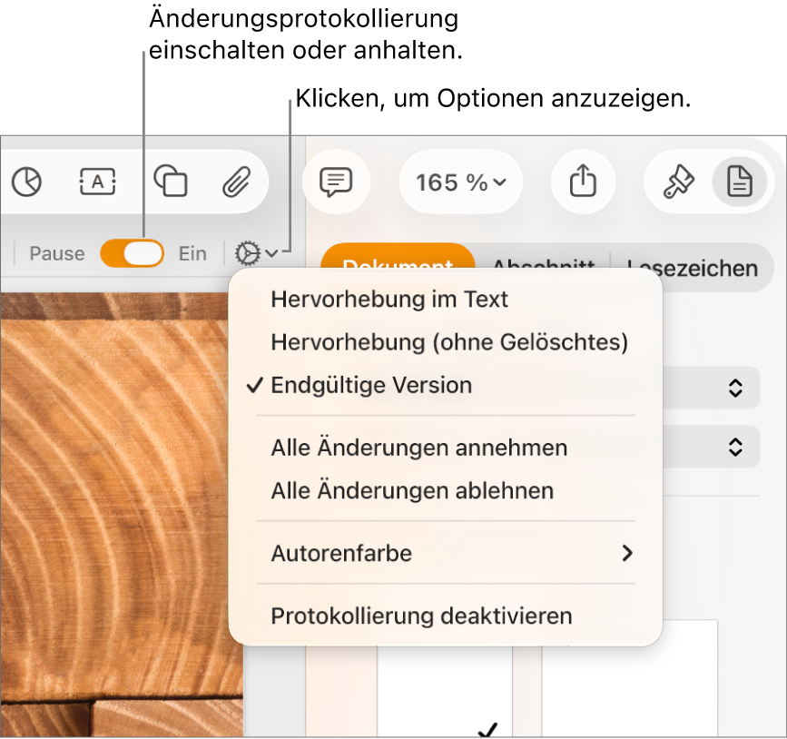 Das Menü mit dem Protokollierungsoptionen und der Option zum Deaktivieren der Protokollierung unten und einer Beschreibung der Tasten zum Aktivieren oder Anhalten der Protokollierung