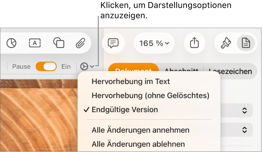 Das Menü mit den Prüfoptionen: Hervorhebung im Text, Hervorhebung (ohne Gelöschtes) und Endgültige Version