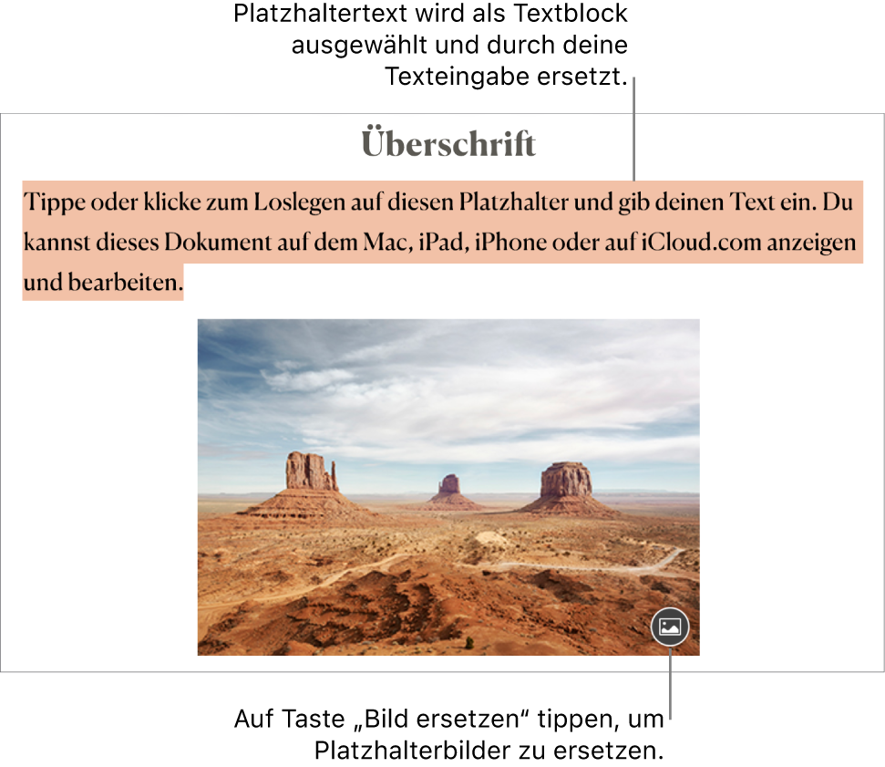Platzhaltertext und Platzhalterbilder