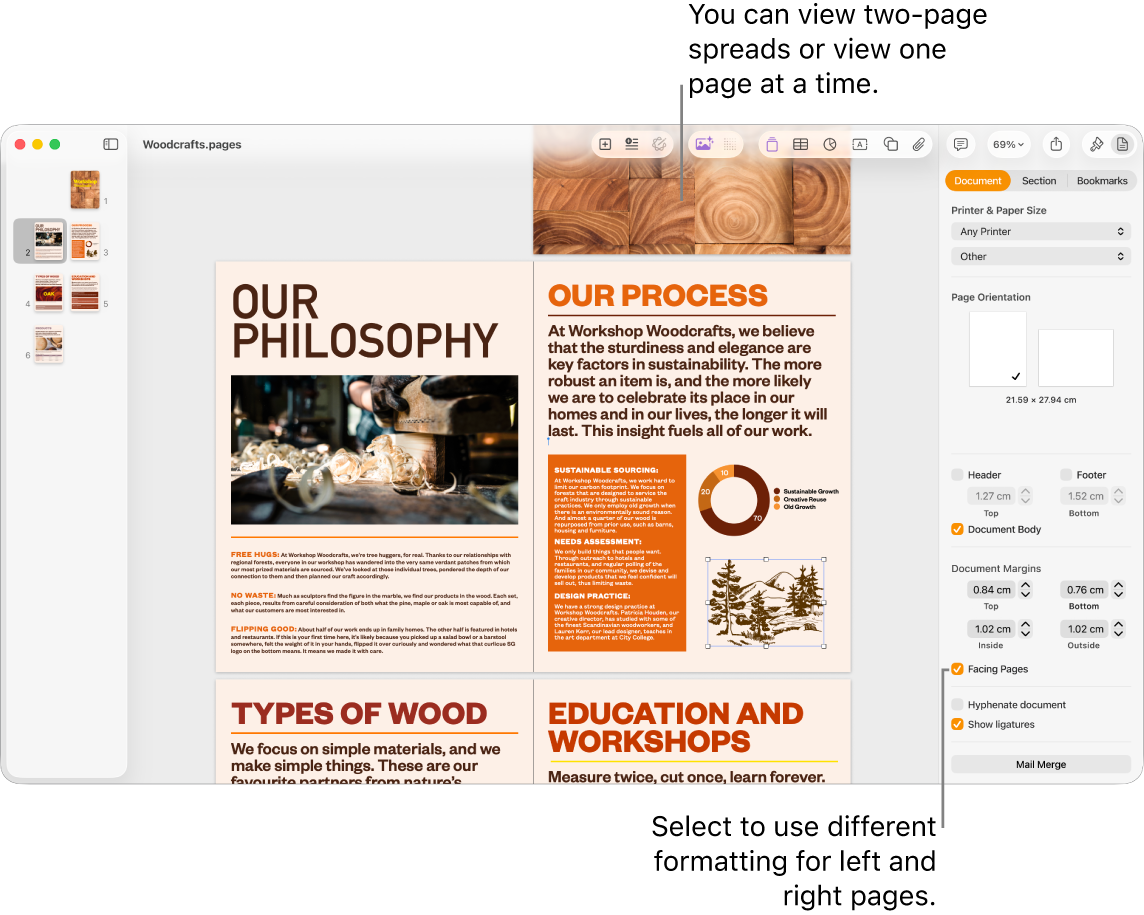 The Pages window with page thumbnails and document pages viewed as two-page spreads. In the Document sidebar on the right, the “Left and right pages are different” tickbox is unselected.