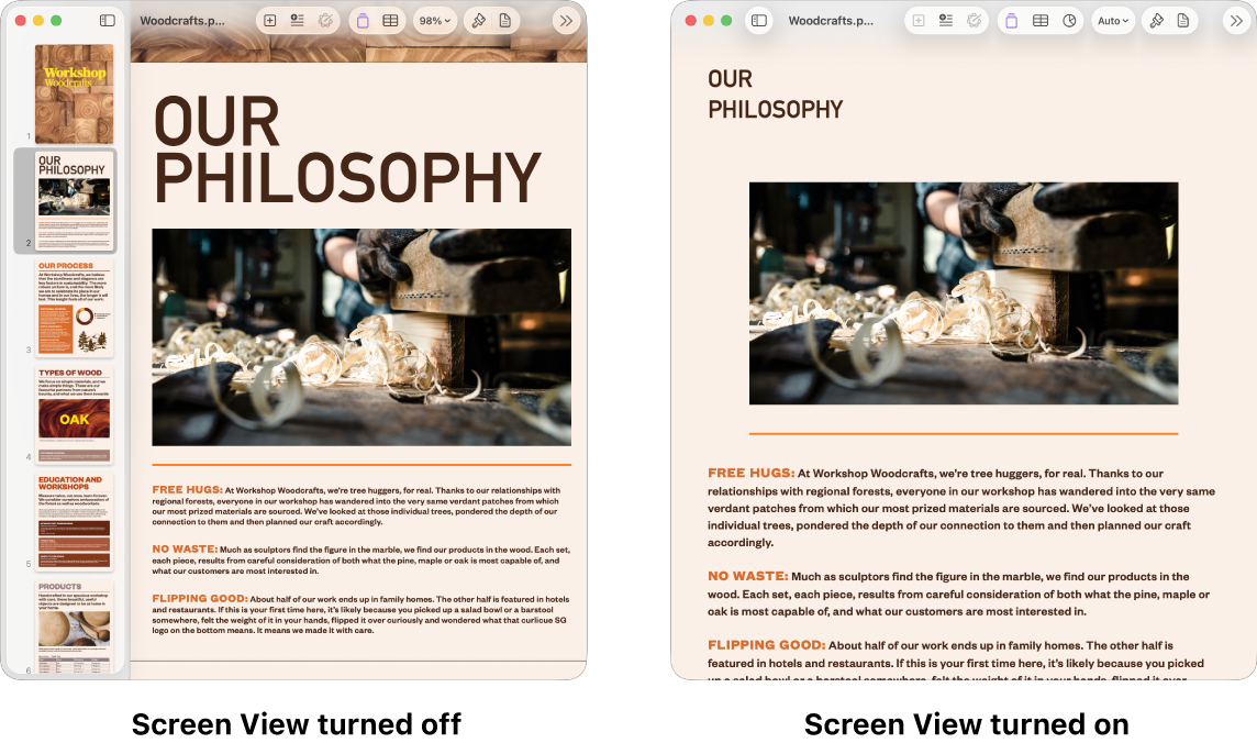 Two views of the same Pages document, one with Screen View turned on and one with Screen View turned off. In the version with Screen View turned on, text size is adjusted for the screen and page breaks and headers are hidden.