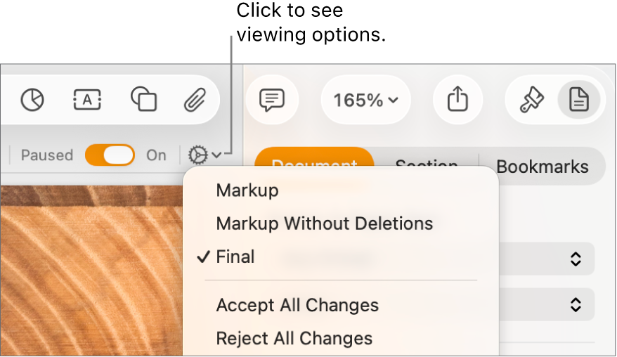 The review options menu showing Markup, Markup Without Deletions, and Final.
