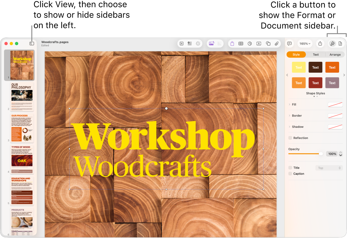 The Pages window with callouts to the View menu button and Format and Document buttons in the toolbar. Sidebars are open on the left and right.