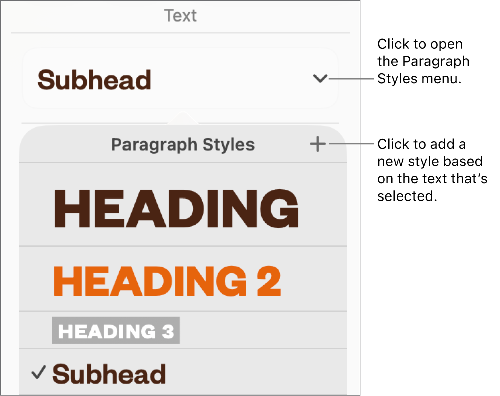 The Paragraph Styles menu, showing controls to add or change a style.