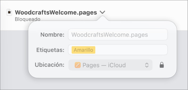 Ventana emergente para bloquear o desbloquear un documento.