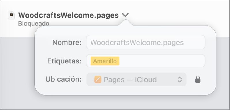 Ventana emergente para bloquear o desbloquear un documento.