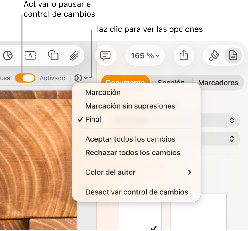 El menú de opciones de control de cambios con “Desactivar control de cambios” en la parte inferior y llamadas a “Control de cambios: Activado” y al botón “En pausa”.
