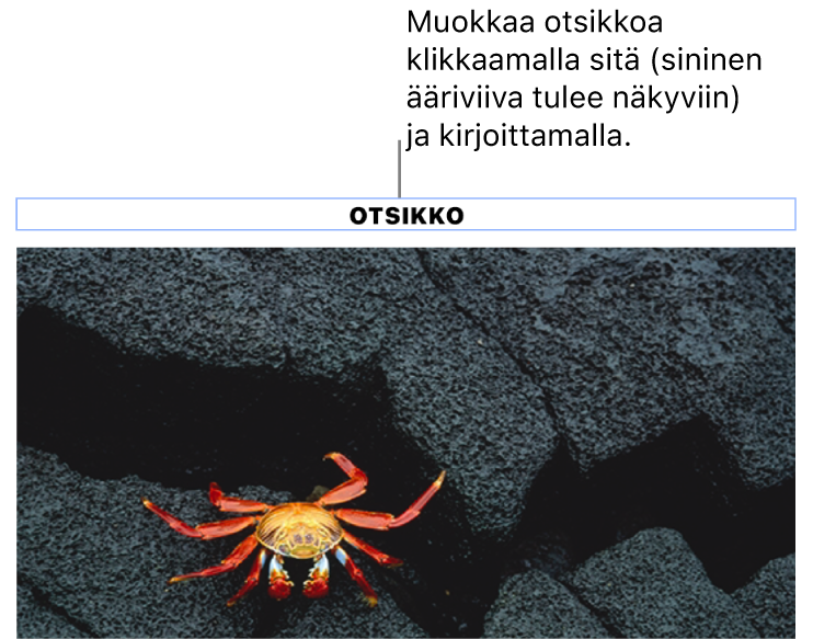 Paikanvaraajaotsikko ”Otsikko” näkyy kuvan alla, siniset ääriviivat otsikkokentän ympärillä osoittavat, että se on valittuna.