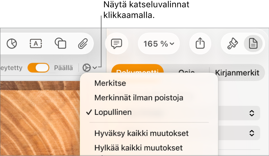 Tarkistusvalintojen valikko, jossa näkyy Merkinnät, Merkinnät ilman poistoja ja Lopullinen.