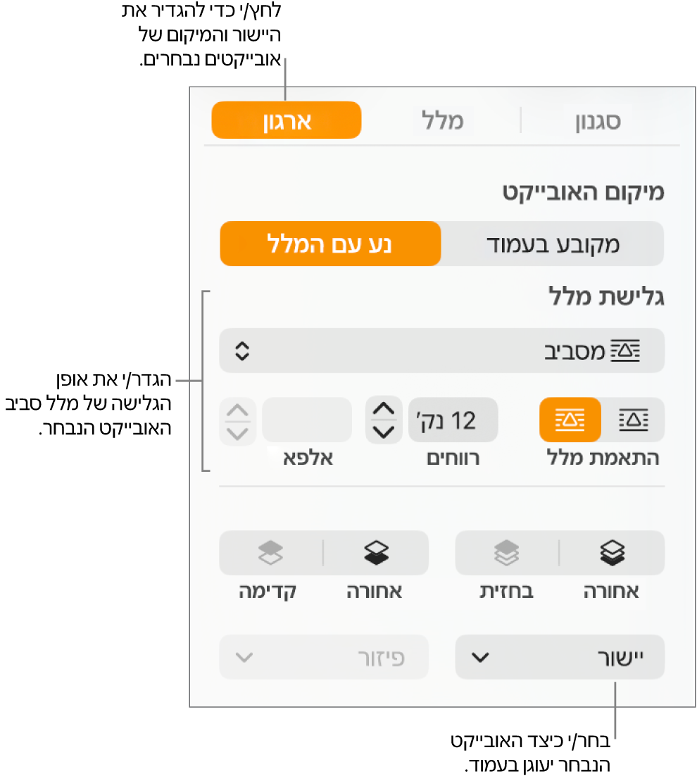 תפריט ״עיצוב״ עם סרגל הצד ״ארגן״ מוצג. ההגדרות של ״מיקום אובייקט״ מוצגות בראש סרגל הצד ״ארגן״ וההגדרות של ״גלישת מלל״ מתחת.