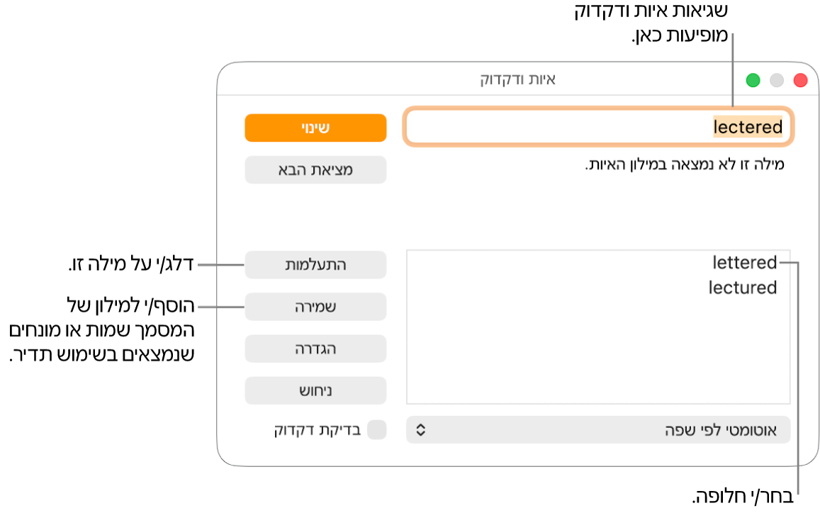 החלון ״איות ודקדוק״.