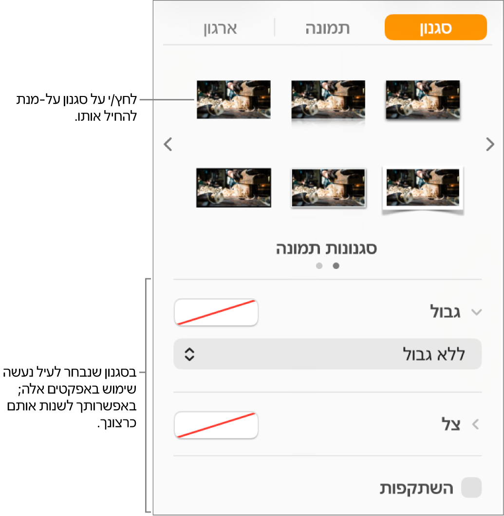 הכרטיסיה ״סגנון״ בסרגל הצד ״עיצוב״ מציגה אפשרויות עבור סגנונות אובייקטים.