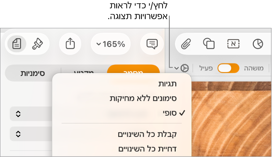 תפריט אפשרויות הסקירה מציג את הפקודות ״תגיות״, ״סימונים ללא מחיקות״ ו״סופי״.