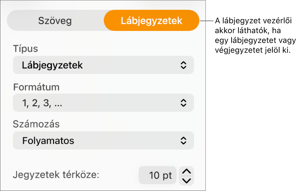 A Lábjegyzetek panel a Típus, a Formátum, a Számozás és a Jegyzetek térköze legördülő menüvel.