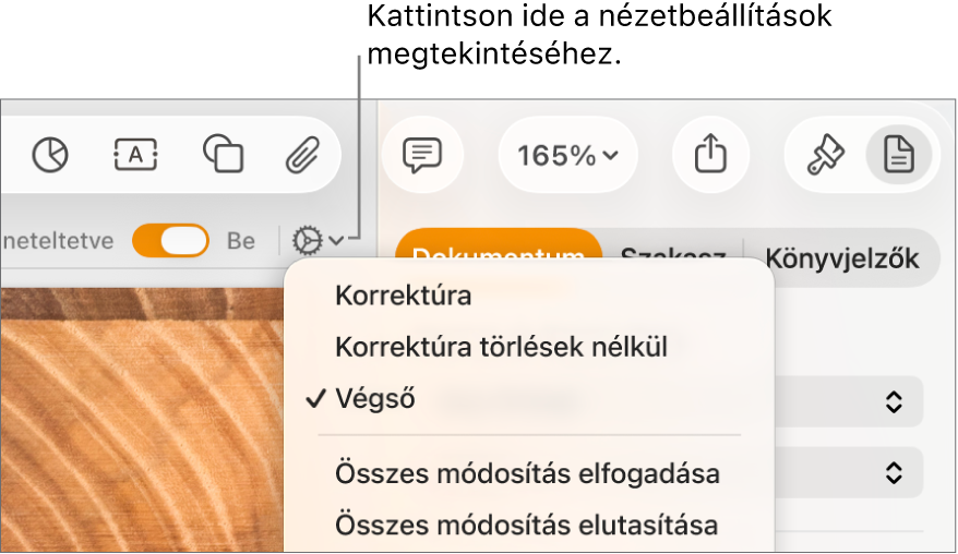 A korrektúrabeállításokat tartalmazó menü, amelyben a Korrektúra, a Jelölés törlések nélkül és a Végső menüopciók láthatók.