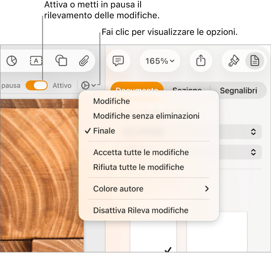 Menu delle opzioni di rilevamento con “Disattiva Rileva modifiche” nella parte inferiore e didascalie per i pulsanti “Rilevamento modifiche attivo” e “In pausa”.